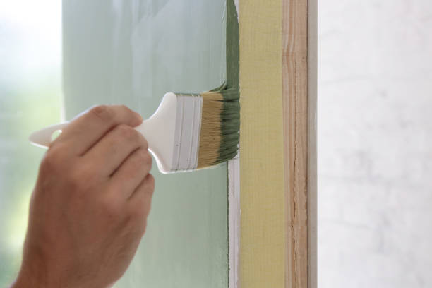 Best Basement Mold Removal  in Hanapepe, HI