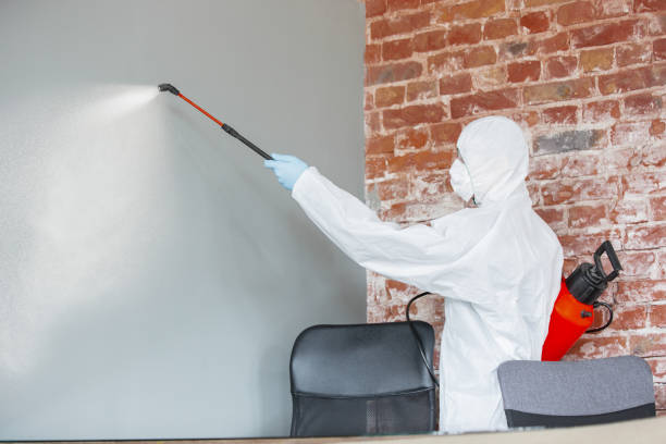 Mold Remediation for Vacation Homes in Hanapepe, HI