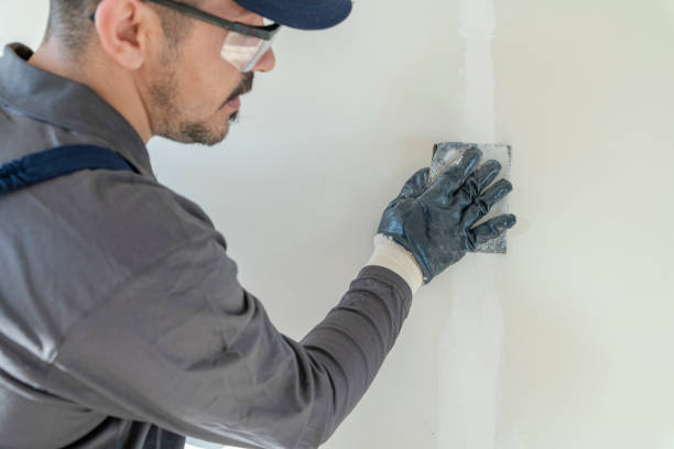 Professional Mold Removal in Hanapepe, HI