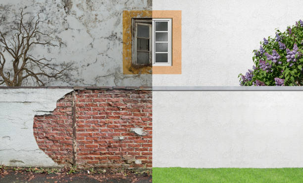 Best Mold Damage Restoration  in Hanapepe, HI