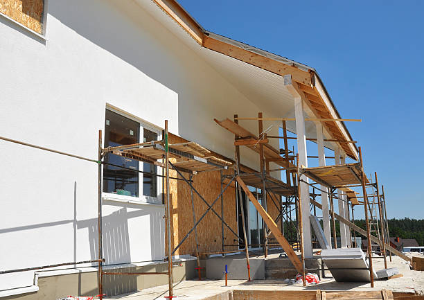 Best Biohazard Mold Removal  in Hanapepe, HI